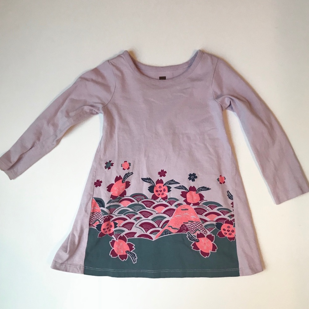 Lovely Tea Collection Infant Dress in VGUC